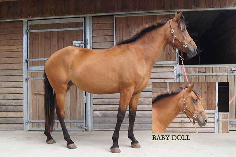 Baby-doll
