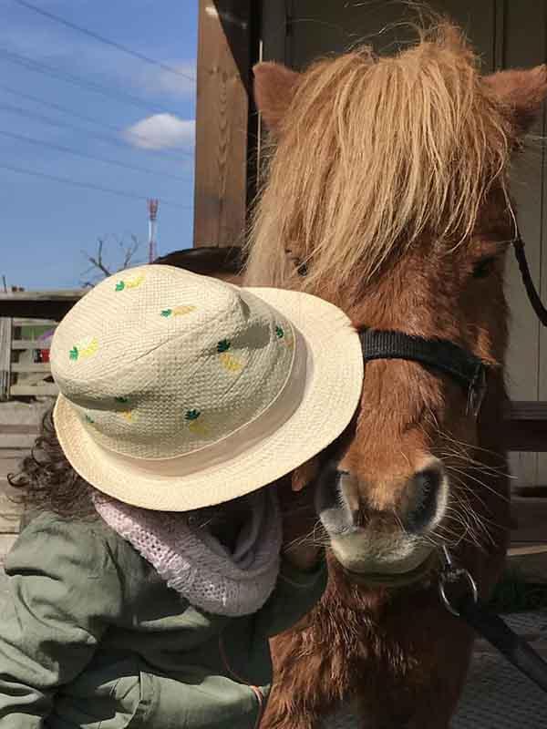 poney-brun-chapeau