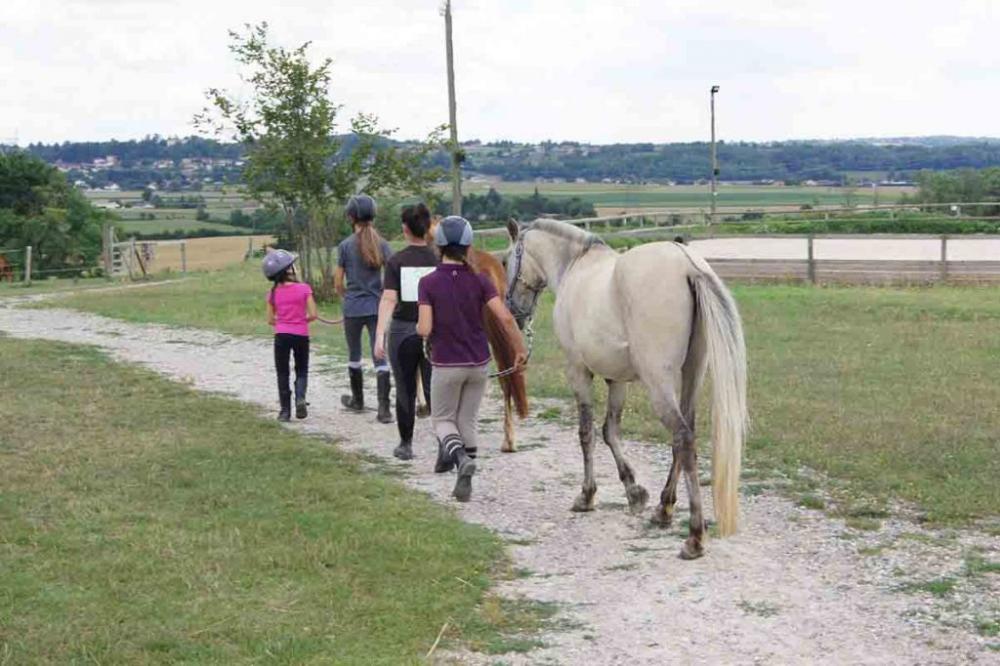 Balade à cheval près de Saint-Quentin-Fallavier 
