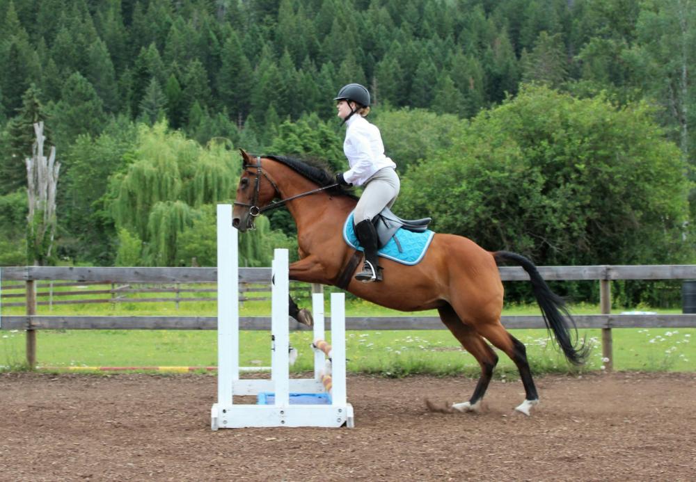 Cours équitation près de Saint-Quentin-Fallavier 