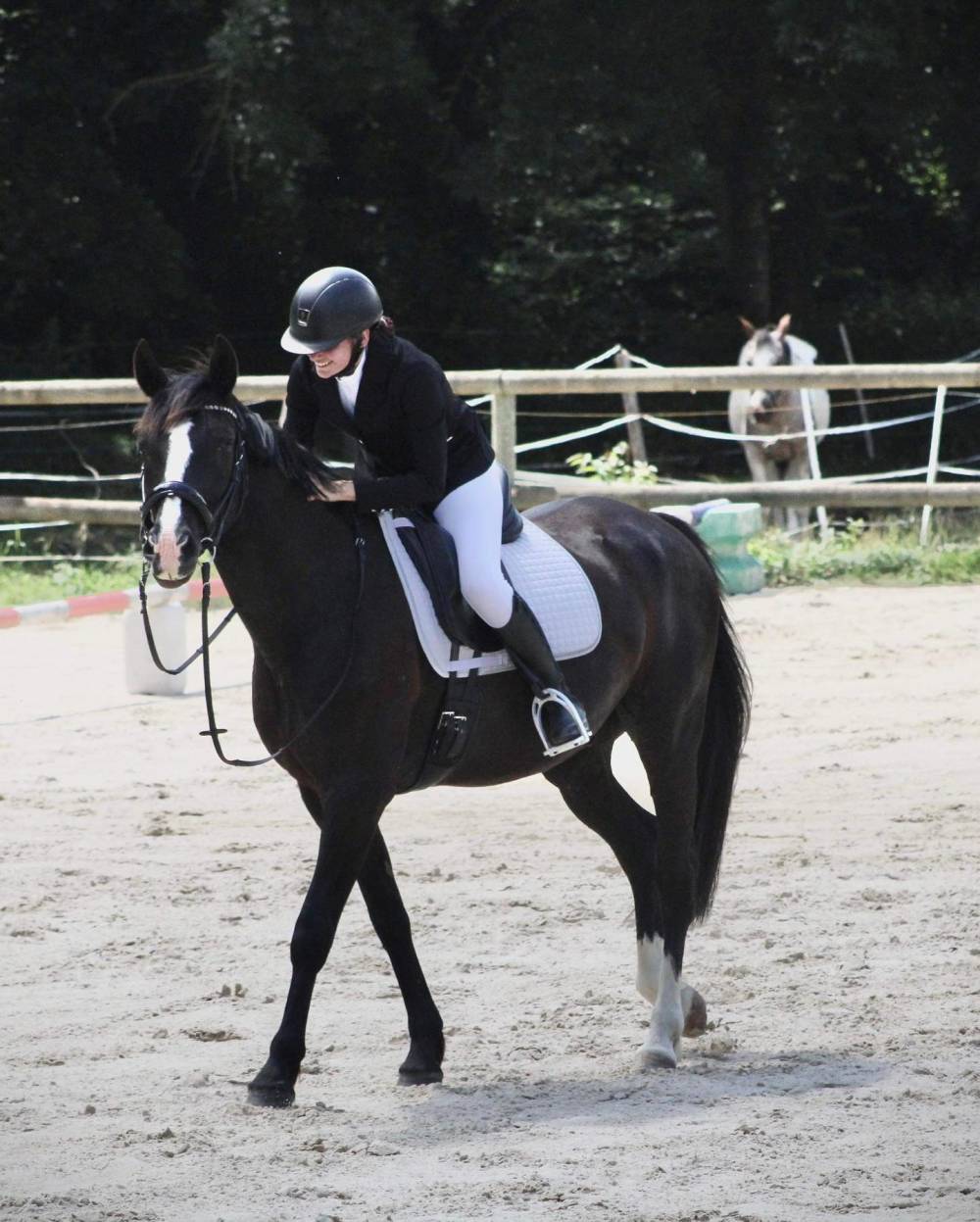 publication insta equitation 2