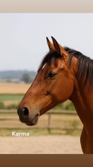 Karma