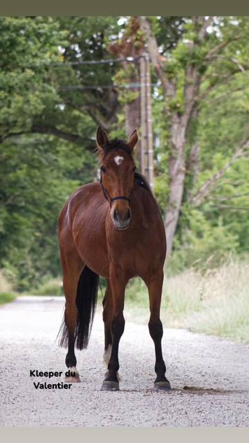 kleeper du valentier